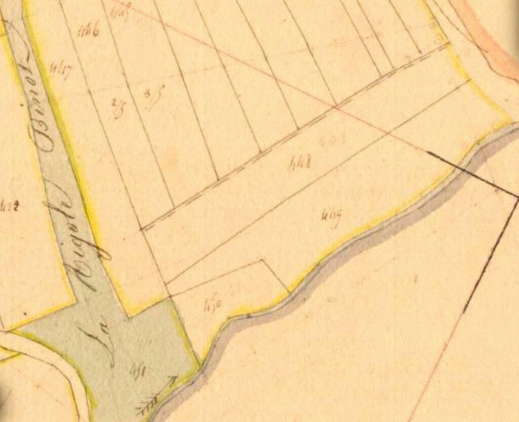 Archives départementales des Ardennes, La Romagne D1 1835, cadastre ancien, plan parcellaire avec une partie développée à l'échelle 1/1250, section et numéro de feuille D1 : la Cour Avril et le Bois Diot, 1835, consultable en ligne.