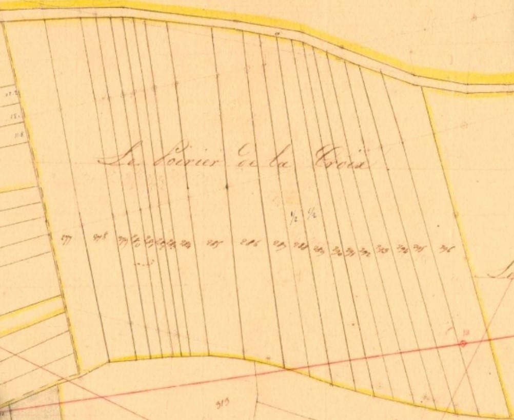 Moulin à vent de Théophile Boudsocq, qui se trouverait sur la parcelle 285 du cadastre de 1835 (archives départementales des Ardennes, La Romagne D1 1835, cadastre ancien, plan parcellaire avec une partie développée à l'échelle 1/1250, section et numéro de feuille D1 : la Cour Avril et le Bois Diot, 1835, consultable en ligne). Ce n° 285 est cité dans la matrice cadastrale 1836-1914 des archives départementales des Ardennes, EDEPOT/ROMAGNE[LA]/G 2 [série EDEPOT = archives communales déposées, sous-série EDEPOT/ROMAGNE[LA] = fonds concernant La Romagne ; série G = cadastre, articles G 1-3 = cadastre parcellaire unique et centralisé dit « cadastre napoléonien », cote G 2 = matrice cadastrale des propriétés foncières, 1836-1914], Administration des contributions directes, Cadastre : tableau indicatif des propriétés foncières, de leurs contenances et de leurs revenus : section D dite de la Cour Avril et du Bois Diot, Paris : imprimerie de P. Dupont et G. Daguionie. Mais d'autres documents évoquent le n° 385. Voir Archives départementales des Ardennes, 3P 369 [série P = finances, cadastre, postes depuis 1800, sous-série 3P = cadastre et remembrement.]