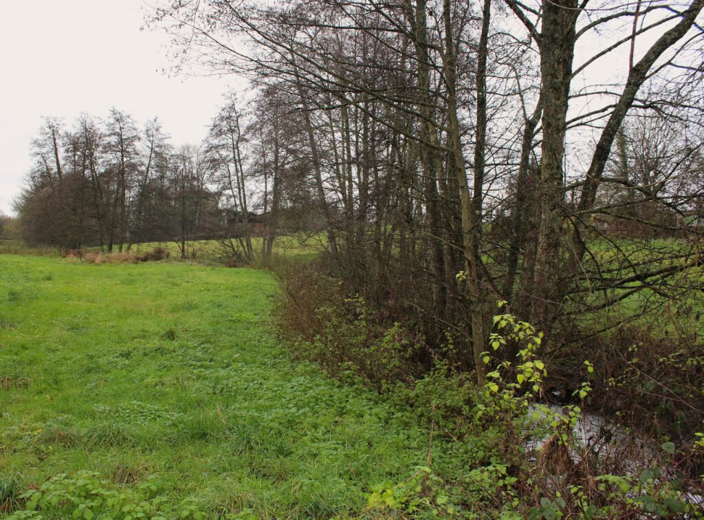 Vue du ruisseau Chantraine, qui traverse les terres du château de Rocquigny (Ardennes). photographies en couleurs, prises de vue effectuées le mercredi 18 décembre 2024. Crédits photographiques : © 2020 laromagne.info par Marie-Noëlle ESTIEZ BONHOMME.