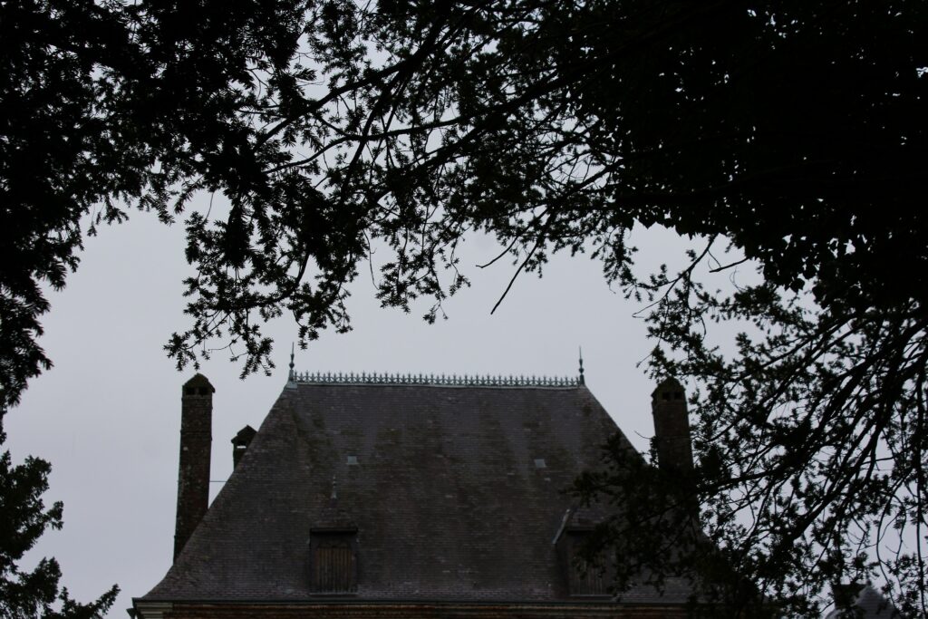 Une partie du toit en ardoises du château de Rocquigny (Ardennes) a fait l’objet d’une réfection par la commune, afin de préserver l’intégrité du bâtiment et de garantir sa durabilité face aux intempéries. Photographies en couleurs, prises de vue effectuées le mercredi 18 décembre 2024. Crédits photographiques : © 2020 laromagne.info par Marie-Noëlle ESTIEZ BONHOMME.