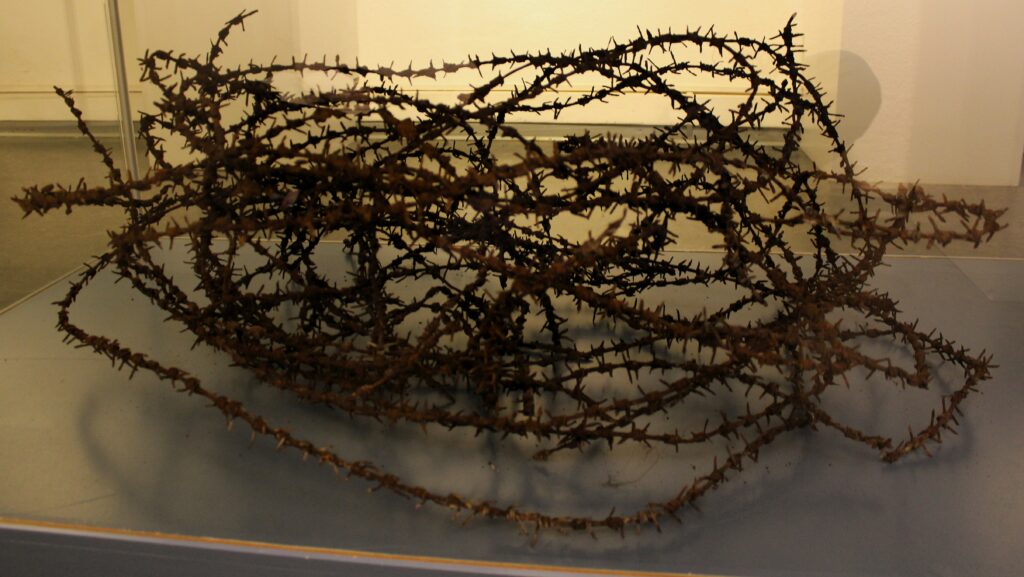 Barbelés du Stalag III-B au musée municipal d'Eisenhüttenstadt (Allemagne), dans le quartier de Fürstenberg (Oder). Avec l'aimable autorisation du Städtisches Museum & Galerie, Löwenstraße 4, 15890 Eisenhüttenstadt. Photographie en couleurs, prise de vue effectuée le mercredi 30 octobre 2024. Crédits photographiques : © 2020 laromagne.info par Marie-Noëlle ESTIEZ BONHOMME.