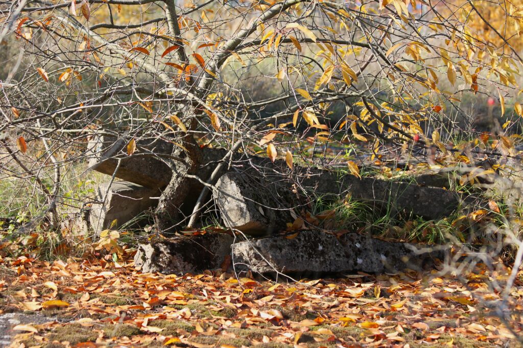 Ruines à Eisenhüttenstadt (Allemagne), dans le quartier de Fürstenberg (Oder). Photographies en couleurs, prises de vue effectuées le dimanche 27 octobre 2024. Crédits photographiques : © 2020 laromagne.info par Marie-Noëlle ESTIEZ BONHOMME.