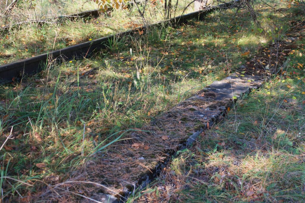 Ruines à Eisenhüttenstadt (Allemagne), dans le quartier de Fürstenberg (Oder). Photographies en couleurs, prises de vue effectuées le dimanche 27 octobre 2024. Crédits photographiques : © 2020 laromagne.info par Marie-Noëlle ESTIEZ BONHOMME.