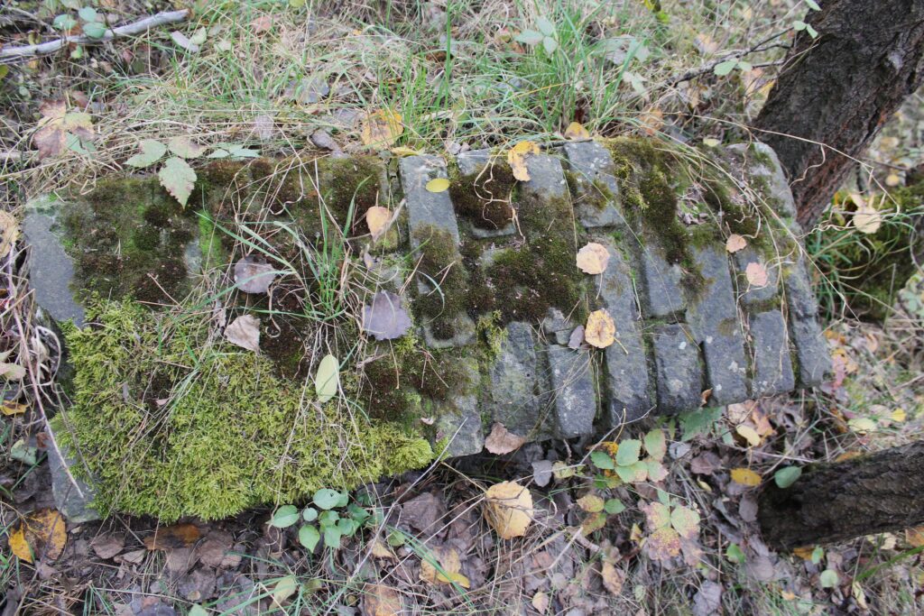 Ruines à Eisenhüttenstadt (Allemagne), dans le quartier de Fürstenberg (Oder). Photographies en couleurs, prises de vue effectuées le dimanche 27 octobre 2024. Crédits photographiques : © 2020 laromagne.info par Marie-Noëlle ESTIEZ BONHOMME.