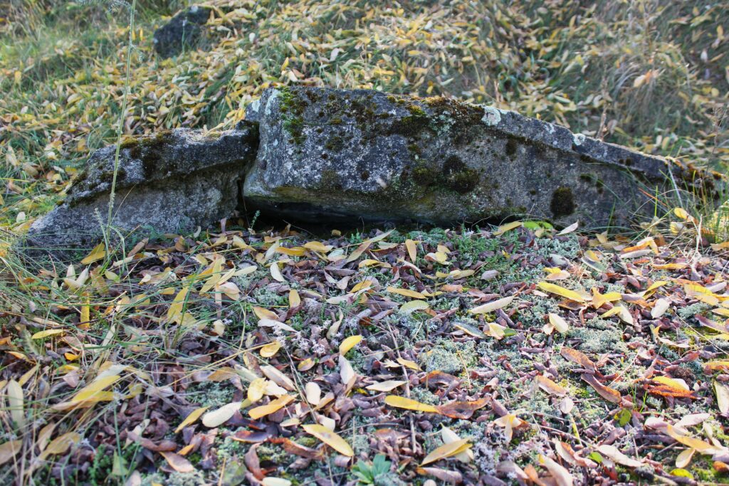 Ruines à Eisenhüttenstadt (Allemagne), dans le quartier de Fürstenberg (Oder). Photographies en couleurs, prises de vue effectuées le dimanche 27 octobre 2024. Crédits photographiques : © 2020 laromagne.info par Marie-Noëlle ESTIEZ BONHOMME.