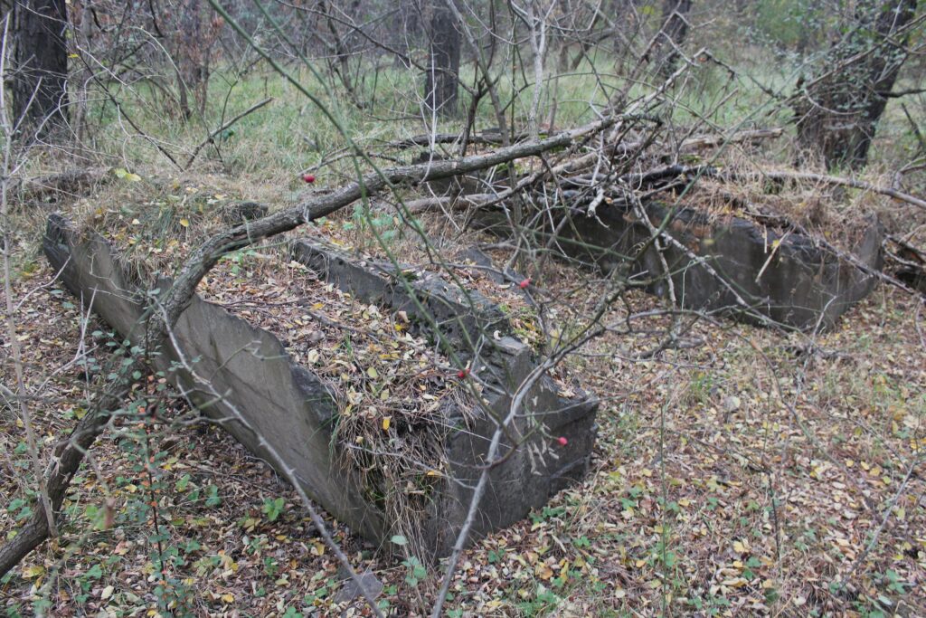 Ruines à Eisenhüttenstadt (Allemagne), dans le quartier de Fürstenberg (Oder). Photographies en couleurs, prises de vue effectuées le dimanche 27 octobre 2024. Crédits photographiques : © 2020 laromagne.info par Marie-Noëlle ESTIEZ BONHOMME.