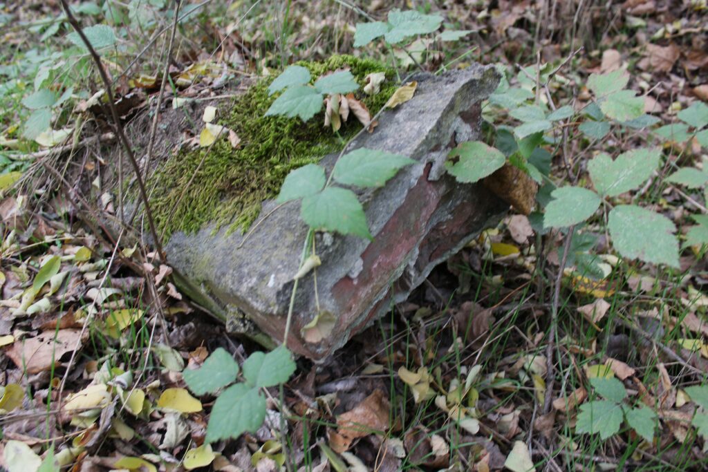 Ruines à Eisenhüttenstadt (Allemagne), dans le quartier de Fürstenberg (Oder). Photographies en couleurs, prises de vue effectuées le dimanche 27 octobre 2024. Crédits photographiques : © 2020 laromagne.info par Marie-Noëlle ESTIEZ BONHOMME.