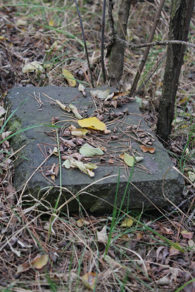 Ruines à Eisenhüttenstadt (Allemagne), dans le quartier de Fürstenberg (Oder). Photographies en couleurs, prises de vue effectuées le dimanche 27 octobre 2024. Crédits photographiques : © 2020 laromagne.info par Marie-Noëlle ESTIEZ BONHOMME.