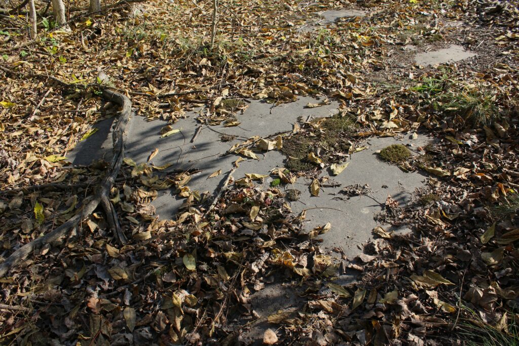Ruines non identifiables à l'emplacement du Stalag III-B à Eisenhüttenstadt (Allemagne), dans le quartier de Fürstenberg (Oder). Photographies en couleurs, prises de vue effectuées le vendredi 25 octobre 2024. Crédits photographiques : © 2020 laromagne.info par Marie-Noëlle ESTIEZ BONHOMME.
