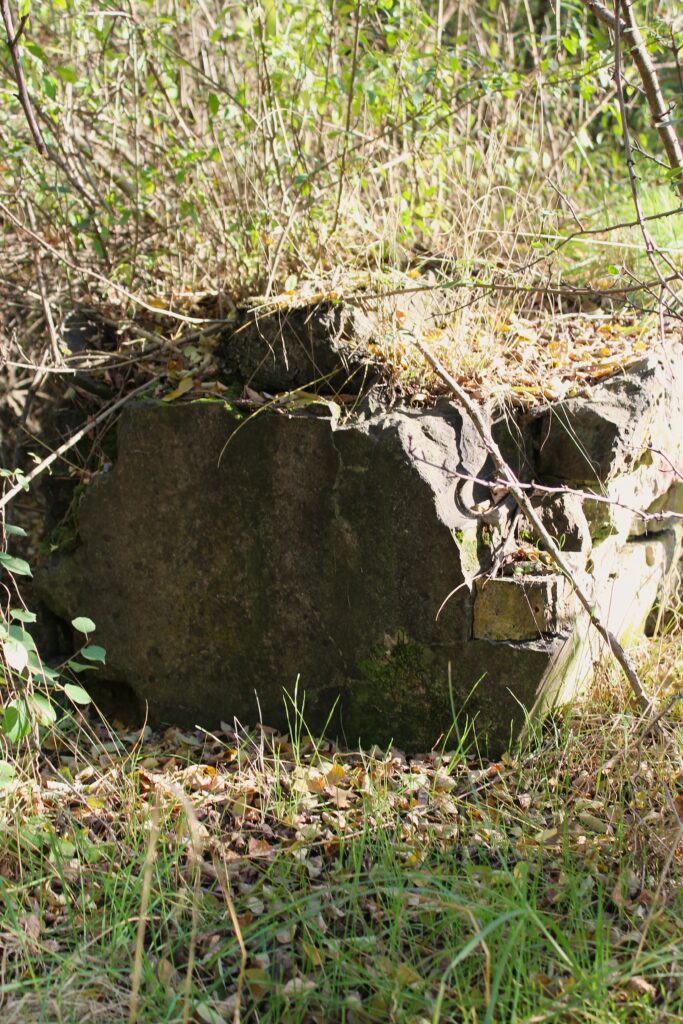 Ruines non identifiables à l'emplacement du Stalag III-B à Eisenhüttenstadt (Allemagne), dans le quartier de Fürstenberg (Oder). Photographies en couleurs, prises de vue effectuées le vendredi 25 octobre 2024. Crédits photographiques : © 2020 laromagne.info par Marie-Noëlle ESTIEZ BONHOMME.
