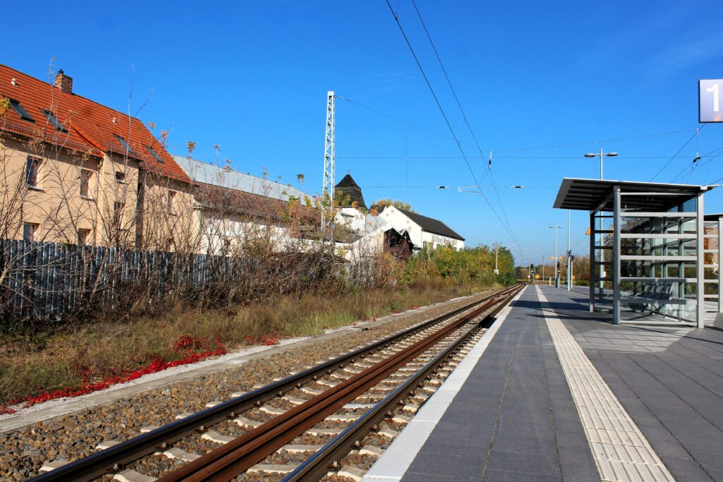 Voies ferroviaires d'Eisenhüttenstadt, en service et désaffectées. Photographies en couleurs, prises de vue effectuées le vendredi 25 octobre 2024. Crédits photographiques : © 2020 laromagne.info par Marie-Noëlle ESTIEZ BONHOMME.
