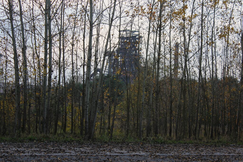 Vue sur une zone industrielle depuis l'emplacement du Stalag III-B, à Eisenhüttenstadt (Allemagne), dans le quartier de Fürstenberg (Oder). Photographie en couleurs, prise de vue effectuée le dimanche 27 octobre 2024. Crédits photographiques : © 2020 laromagne.info par Marie-Noëlle ESTIEZ BONHOMME.