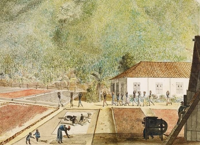 Musée du quai Branly-Jacques Chirac (Paris), document numérique, numéro d’inventaire 75.14892, La culture du café à l'île Bourbon : vue des terrains où l'on fait sécher le grain, attribué à Jean-Joseph Patu de Rosemont (1767–1818), vers 1800, crayon, aquarelle et encre sur papier, encadré, dimensions de la feuille : 42,8 × 61,9 cm, notice descriptive consultable en ligne. [Nota bene : Jean-Joseph Patu de Rosemont (1766–1817) arrive à l’île Bourbon en 1788 après un naufrage. Planteur d’épices à Bras-Panon, il peint de nombreux paysages de l’île.]