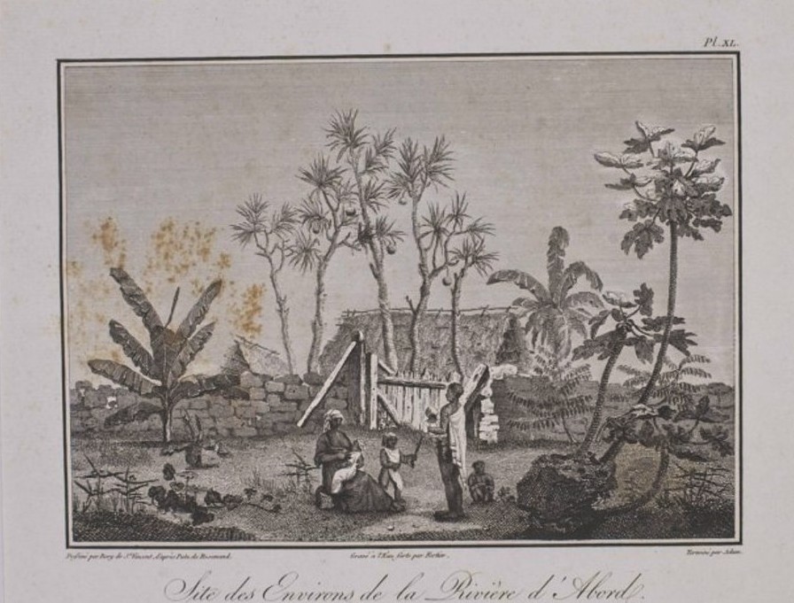 Musée historique de Villèle (Saint-Gilles-les-Hauts, La Réunion), document numérique, numéro d’inventaire 1992.147.4, Site des environs de la rivière d'Abord – Saint-Pierre, par Jean-Baptiste Geneviève Marcellin Bory de Saint-Vincent (1778-1846, dessinateur), d’après Jean-Joseph Patu de Rosemont (1747-1814, peintre), gravé par Fortier et F. Buisson, imprimé par Adam, 1804, eau-forte et burin sur papier vélin, dimensions non précisées, notice descriptive consultable en ligne.