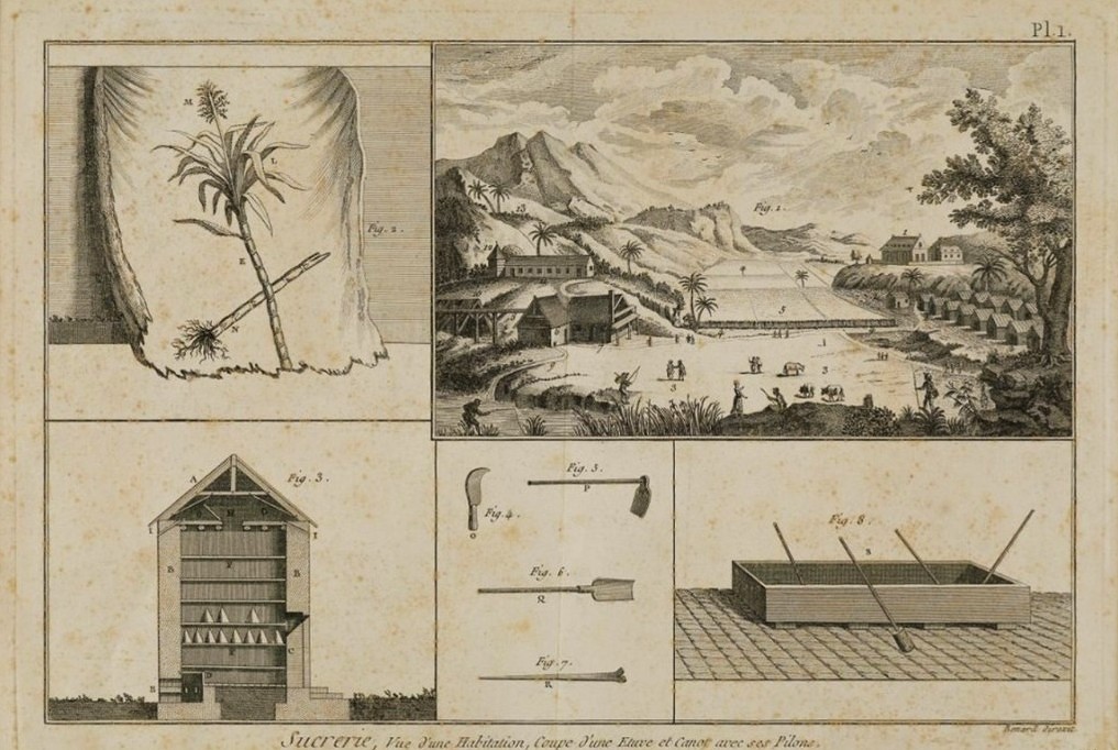 Musée historique de Villèle (Saint-Gilles-les-Hauts, La Réunion), document numérique, numéro d’inventaire 1992.24.1, Sucrerie, vue d'une habitation, Coupe d'une étuve et canot avec ses Pilons, numéro d’inventaire 1992.24.1, création/exécution par un directeur artistique au 18e siècle, auteurs Bernard Robert (éditeur, 1785, Paris) et Panckoucke (éditeur), matière et technique : eau-forte sur papier vergé, 31,7 x 46,7 cm, notice descriptive consultable en ligne.