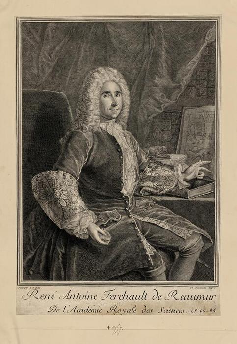 René Antoine Ferchault de Réaumur (1683‑1757), physicien et naturaliste, portrait gravé par Philippe Simonneau (1685‑vers 1753) d’après Alexis Simon Belle (1674‑1734), burin et eau-forte, 34,4 × 23,5 cm, Versailles (Yvelines), châteaux de Versailles et de Trianon, numéro d’inventaire LP65.91.1, © château de Versailles, Dist. GrandPalaisRmn / image château de Versailles, notice descriptive consultable en ligne.