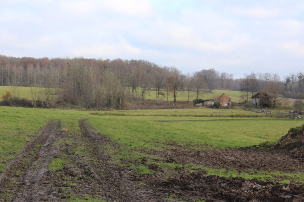 Vestiges du Merbion, lieu-dit de Montmeillant (Ardennes). Photographie en couleurs, prise de vue effectuée le lundi 22 novembre 2021. Crédits photographiques : © 2020 laromagne.info par Marie-Noëlle ESTIEZ BONHOMME.