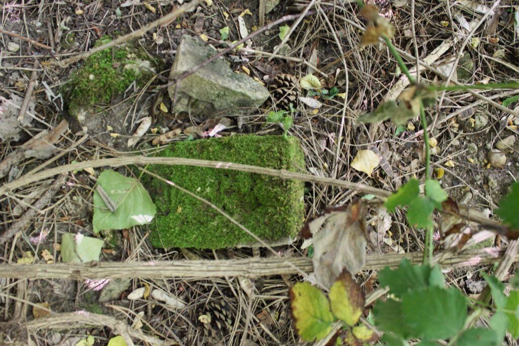 Vestiges du Stalag XVII B et barrières anti-intrusion. Photographie en couleurs, prise de vue effectuée le jeudi 3 juillet 2025. Crédits photographiques : © 2020 laromagne.info par Marie-Noëlle ESTIEZ BONHOMME.