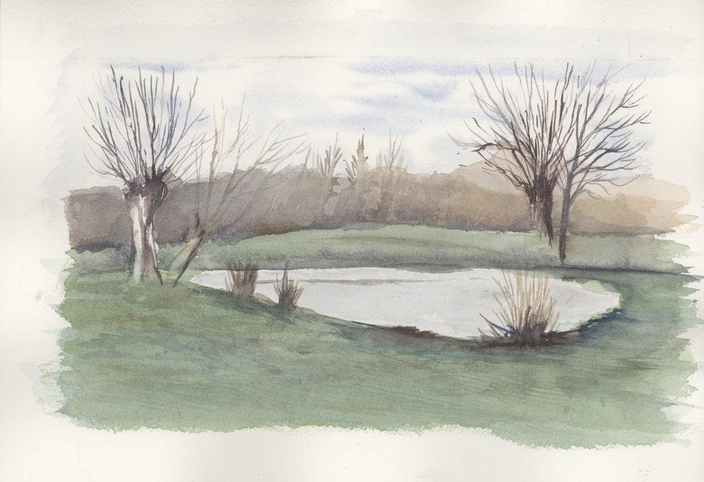 Mare aux grenouilles des Houis Hauts, lieu-dit de La Romagne (Ardennes). L’aquarelle représente l’étendue d’eau au sein d’un espace herbeux bordé d’arbres et de végétation de berge. Vue d’artiste. Aquarelle de l’auteure sur papier Canson. Crédits iconographiques : © 2020 laromagne.info par Marie-Noëlle ESTIEZ BONHOMME.