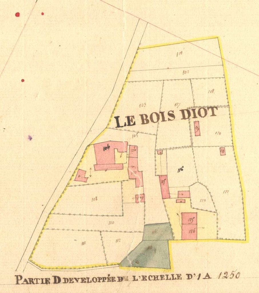 Archives départementales des Ardennes, La Romagne D1 1835, la Cour Avril et le Bois Diot, cadastre ancien, plan parcellaire avec une partie développée à l’échelle 1/1250, consultable en ligne.