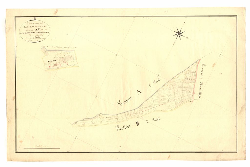 
Archives départementales des Ardennes, La Romagne A2 1835, Bois d’Apremont et Houis Bas, cadastre ancien, plan parcellaire avec une partie développée à l’échelle 1/1250, consultable en ligne.