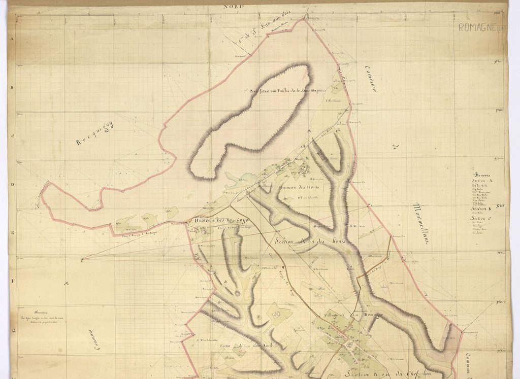 
Archives départementales des Ardennes, La Romagne-1807, plan par masse de culture géométrique quadrillé, consultable en ligne, vue 1/2.